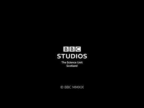 Discover the Secrets Behind BBC Studios Distribution! 